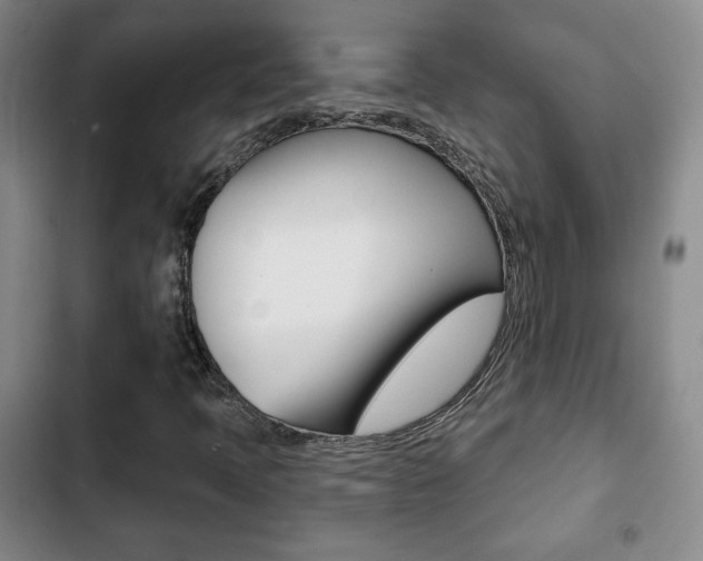 X0000103261397200808291032
