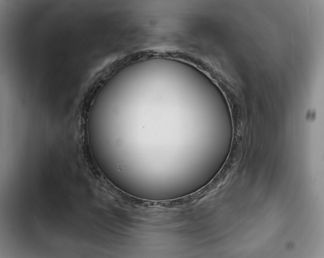 X0000103261398200808291032