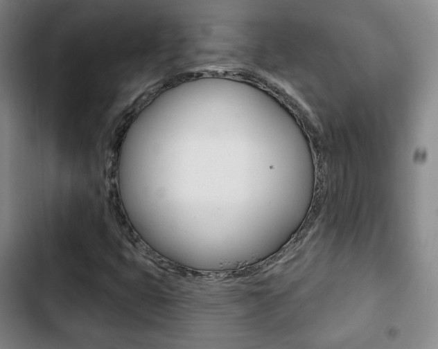 X0000103261399200808291032