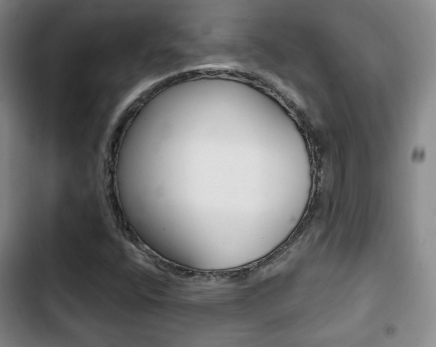 X0000103261400200808291032