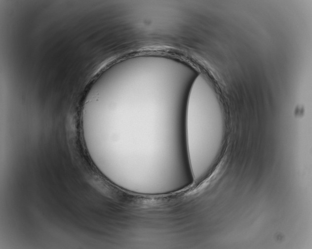 X0000103261401200808291032