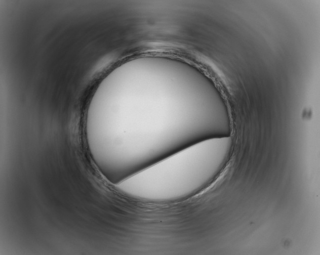 X0000103261403200808291032