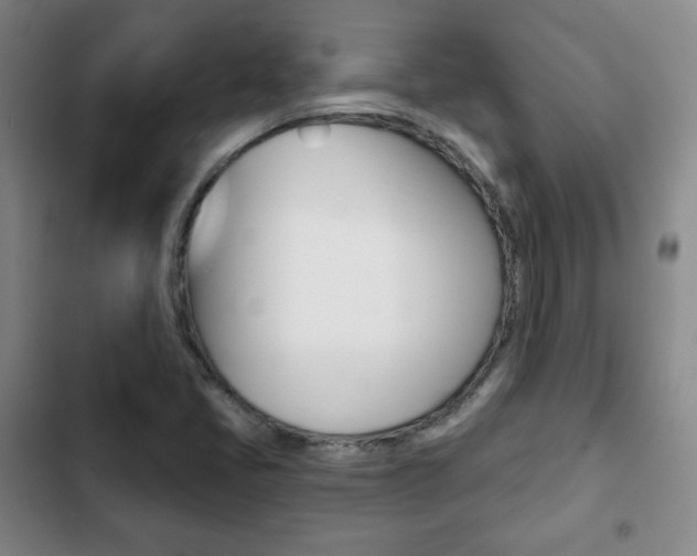 X0000103261405200808291032