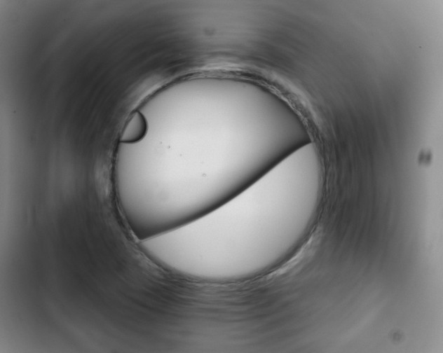 X0000103261409200808291032