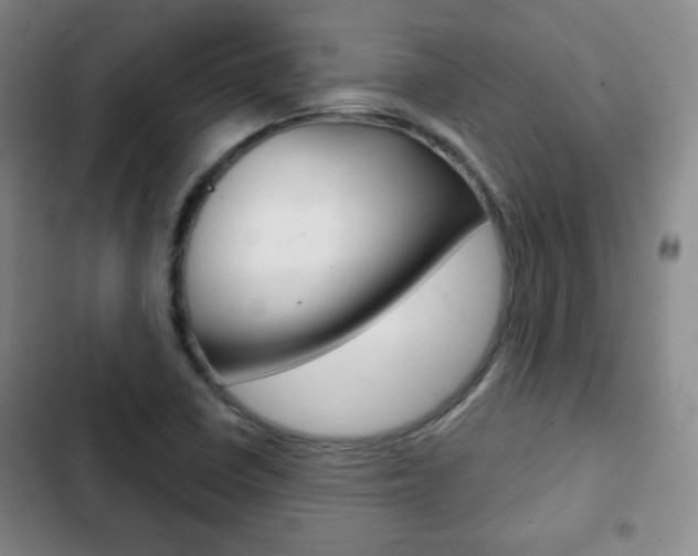 X0000103261410200808291032