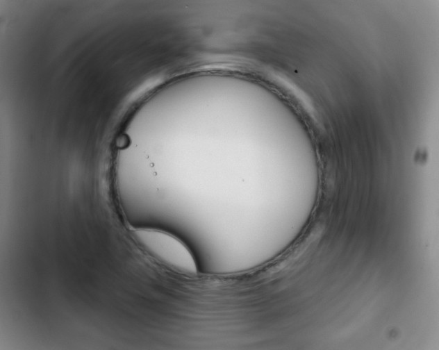 X0000103261411200808291032