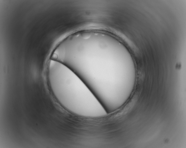 X0000103261413200808291032