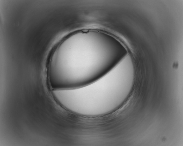 X0000103261414200808291032