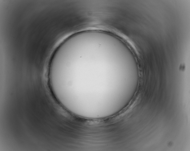X0000103261415200808291032