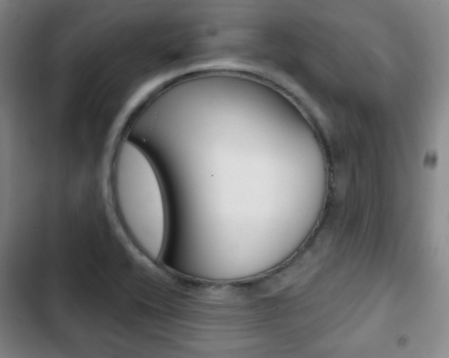 X0000103261416200808291032