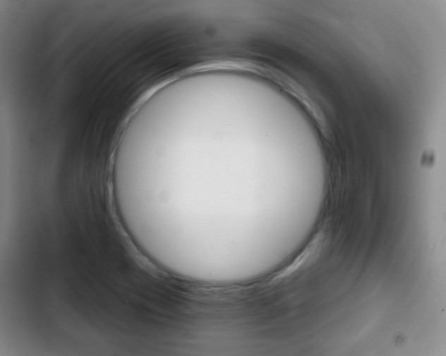 X0000103261417200808291032