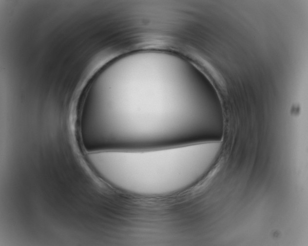 X0000103261418200808291032