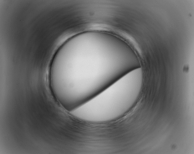 X0000103261419200808291032