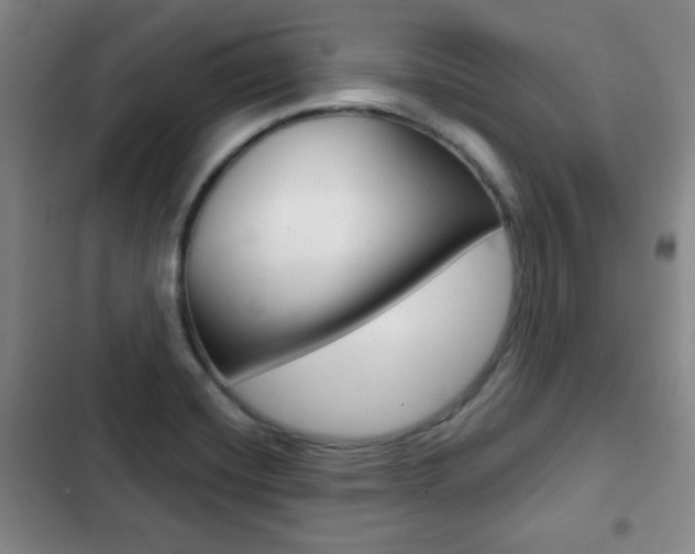 X0000103261420200808291032