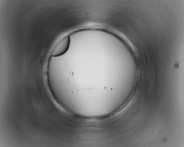 X0000103261421200808291032