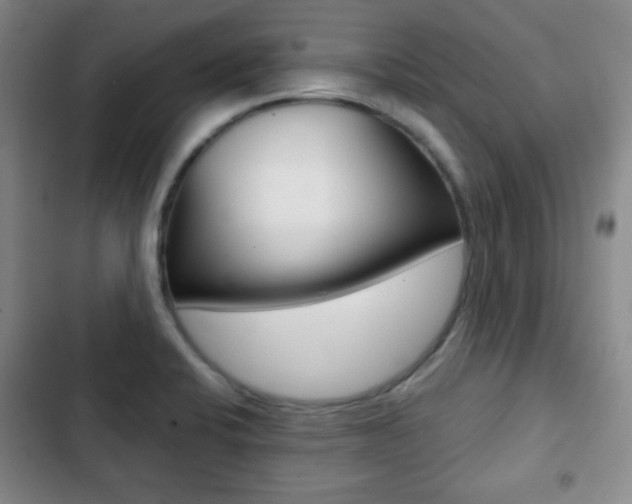X0000103261424200808291032