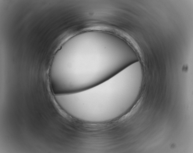 X0000103261425200808291032