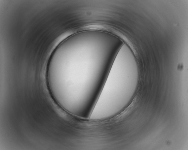 X0000103261426200808291032