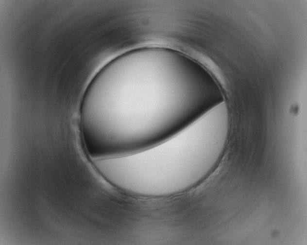 X0000103261428200808291032
