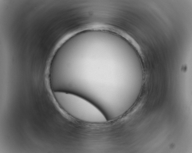 X0000103261429200808291032