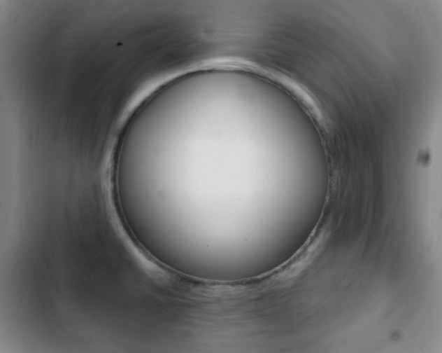 X0000103261430200808291032