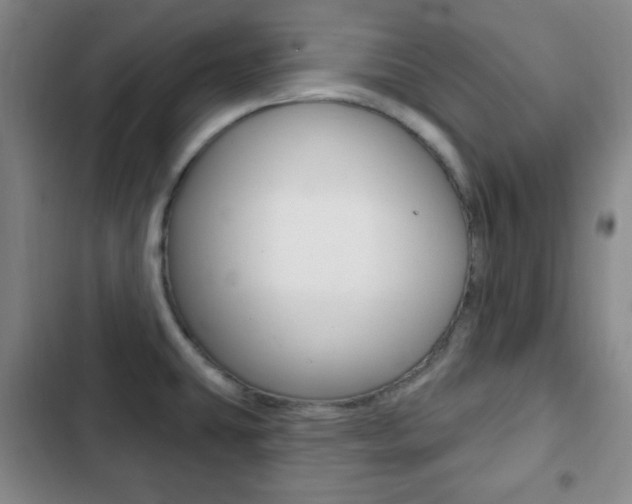 X0000103261431200808291032