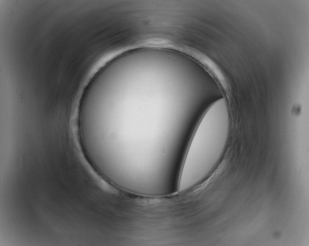X0000103261432200808291032