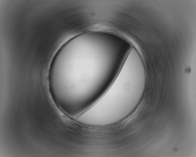X0000103261434200808291032