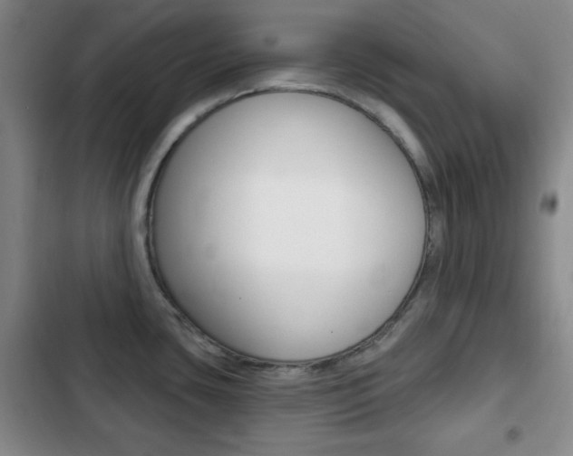 X0000103261435200808291032