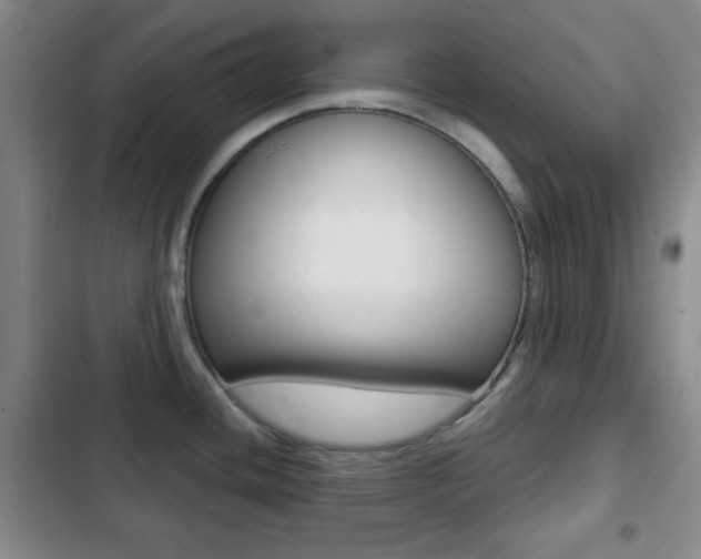 X0000103261436200808291032