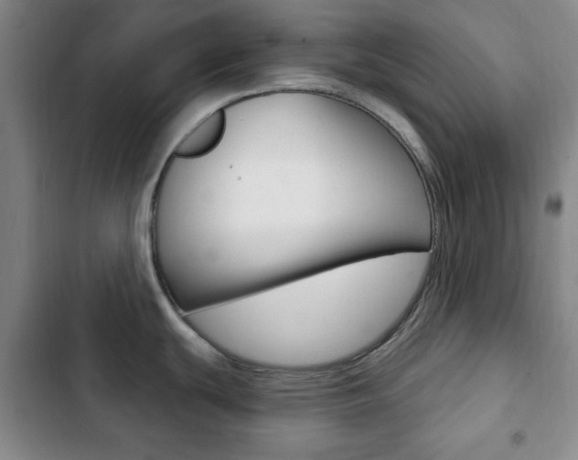 X0000103261439200808291032