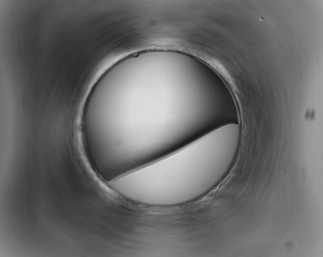 X0000103261440200808291032