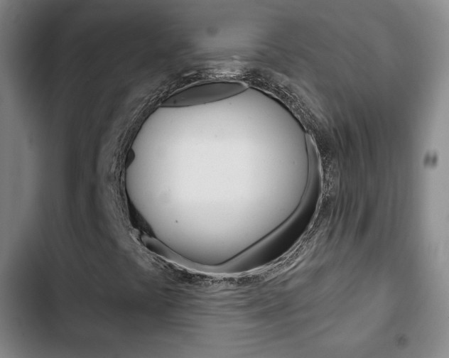 X0000103261441200808291032