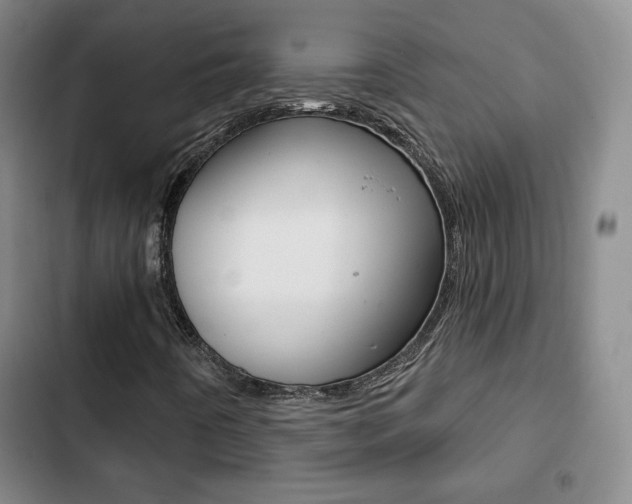 X0000103261442200808291032