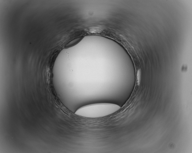 X0000103261443200808291032