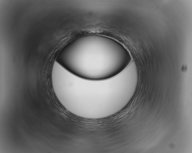 X0000103261444200808291032