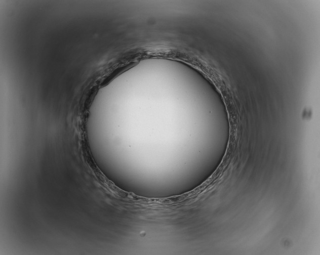 X0000103261445200808291032