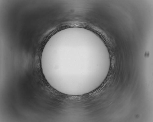 X0000103261446200808291032
