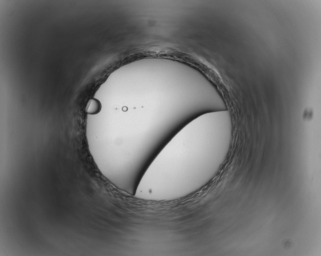 X0000103261447200808291031