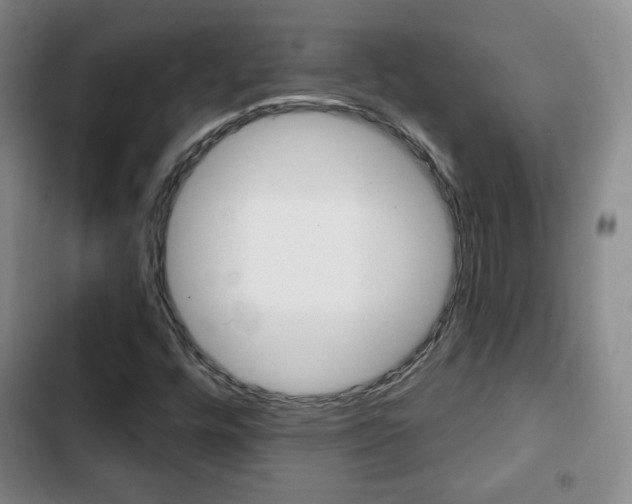 X0000103261448200808291031