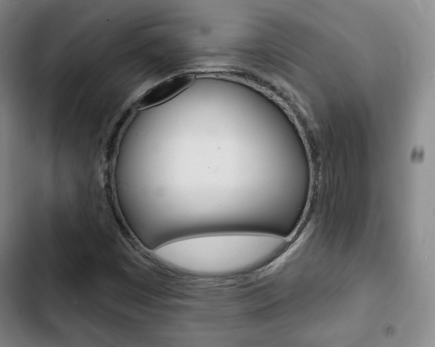 X0000103261449200808291031