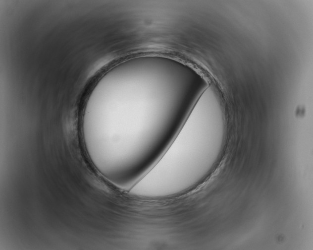 X0000103261450200808291031