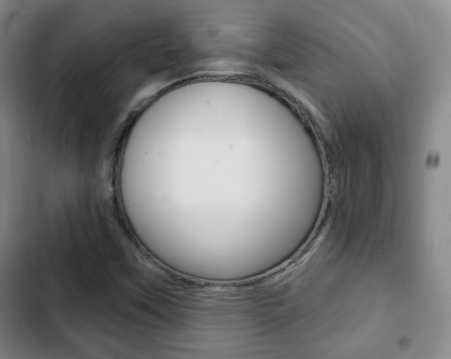 X0000103261451200808291031
