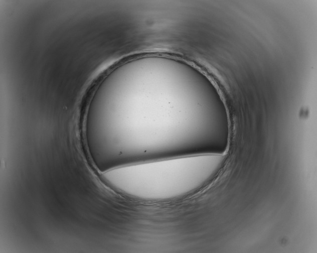 X0000103261452200808291031