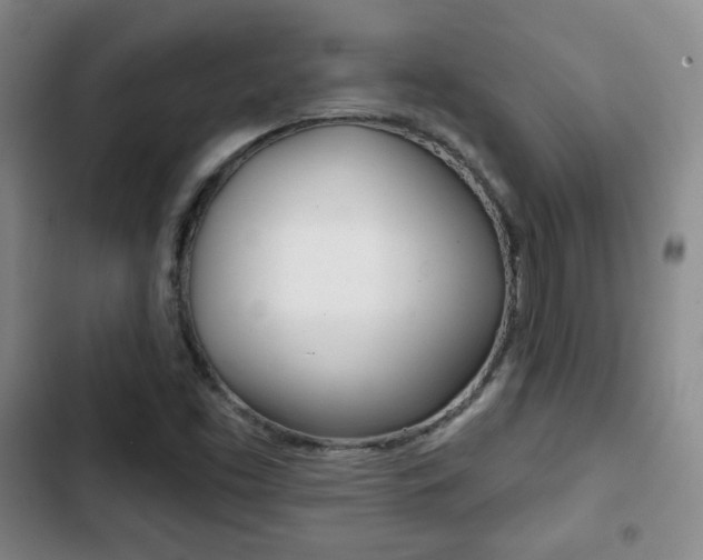 X0000103261453200808291031