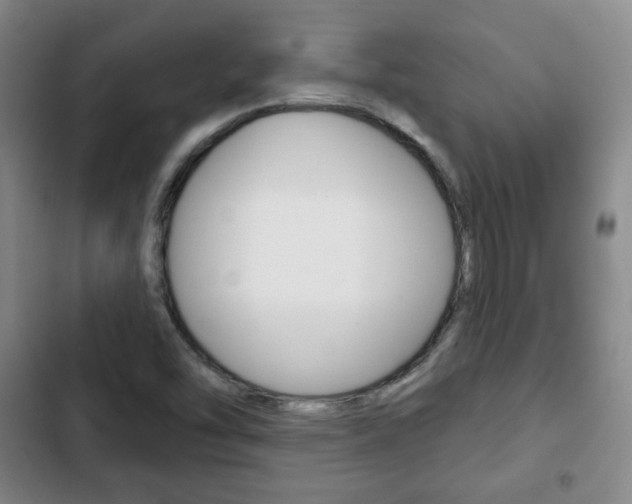 X0000103261454200808291031
