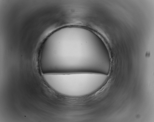 X0000103261455200808291031