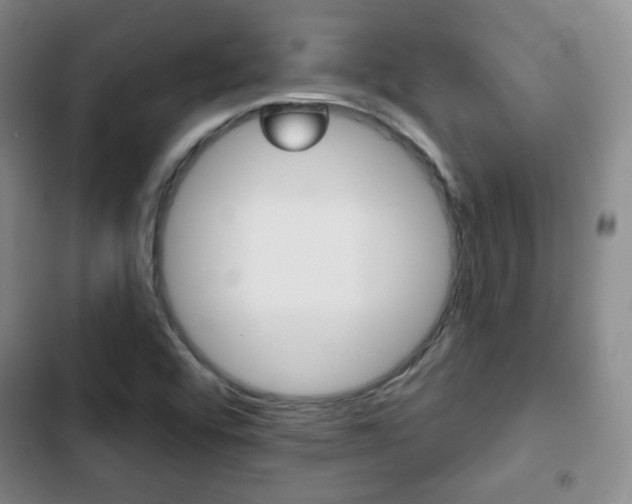 X0000103261456200808291031
