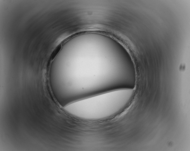 X0000103261457200808291031