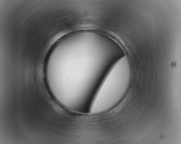 X0000103261458200808291031